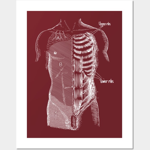 Anatomy Wall Art by Blind Man Studio